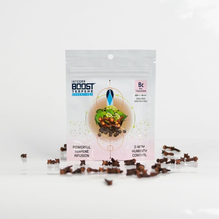 7b78e02ffb90b1fb97b6cd925e4d3660