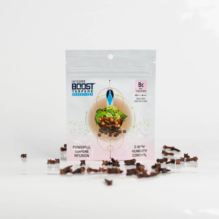 762c6fddab81d86bbe55a823a21a8cf3