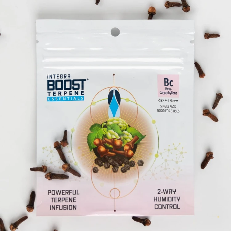 21c37b2adb55e1ed9c5298ba2751168d