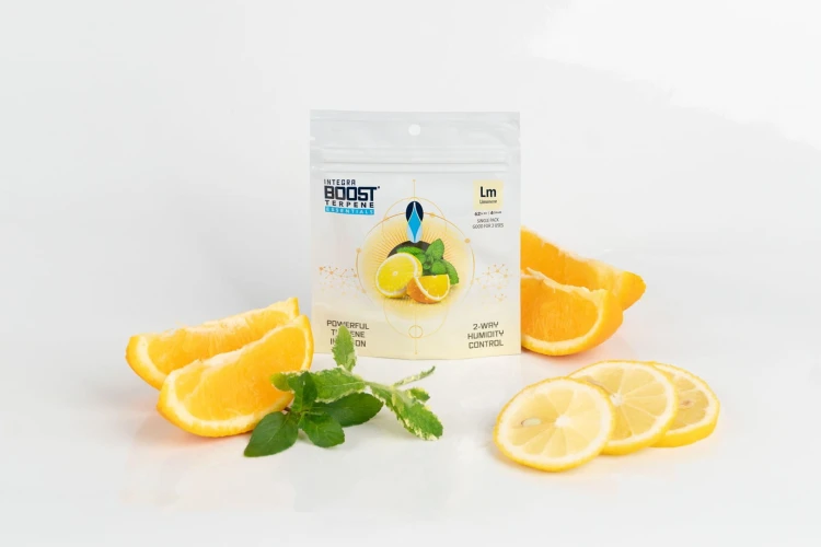 c2ee1efd746d28b55087dd2408201b6d