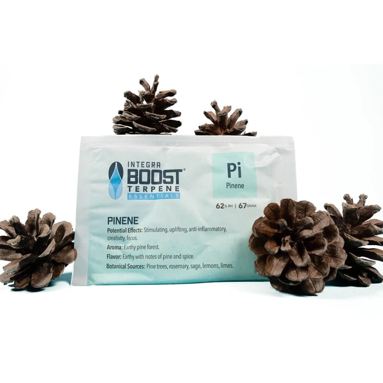 41f3f14b3d8a58f732cb2ff68ba9b4ea