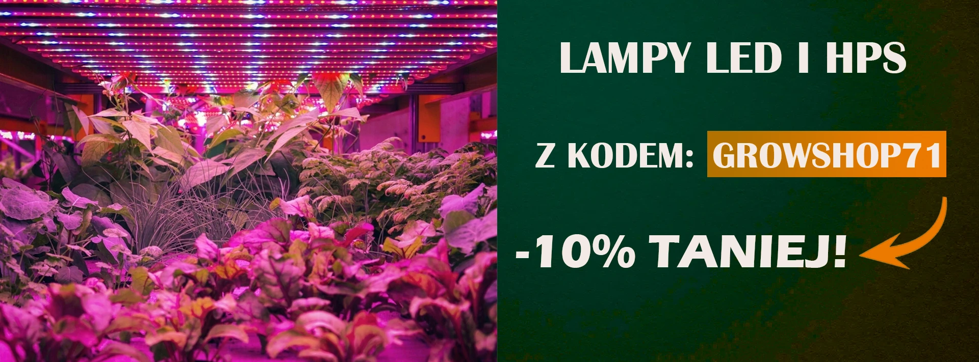 lampy2