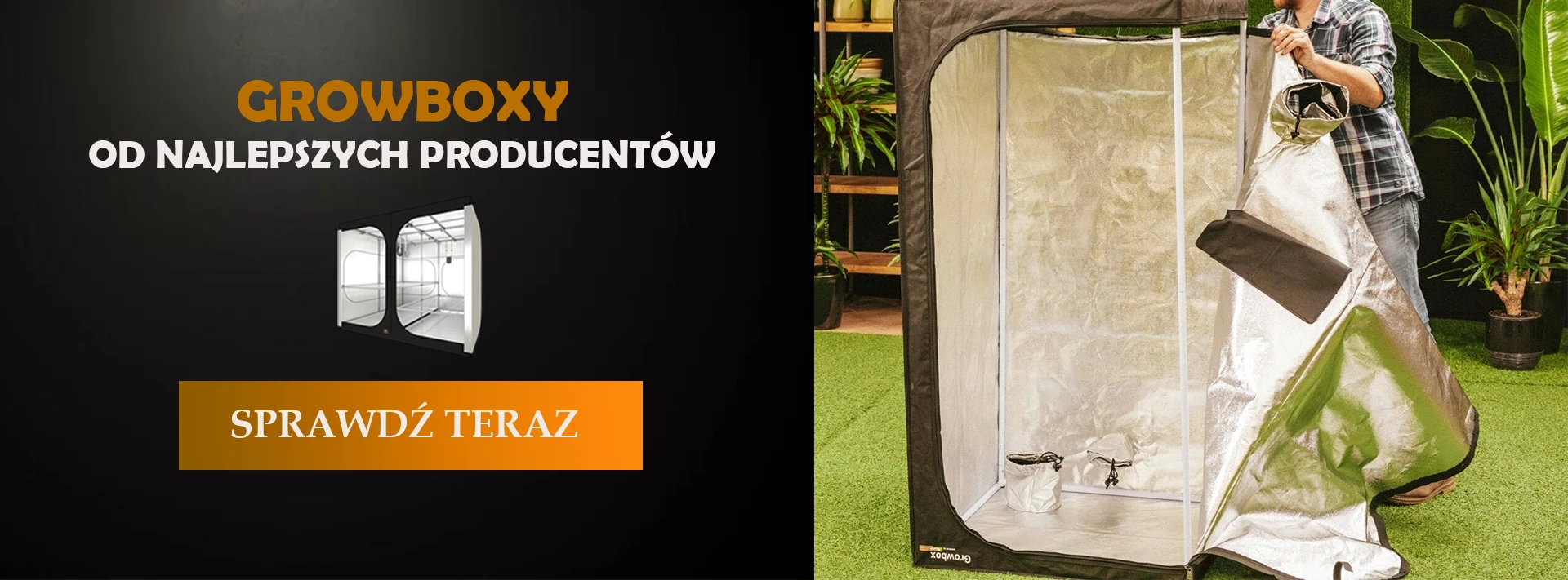 growboxy2